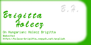 brigitta holecz business card